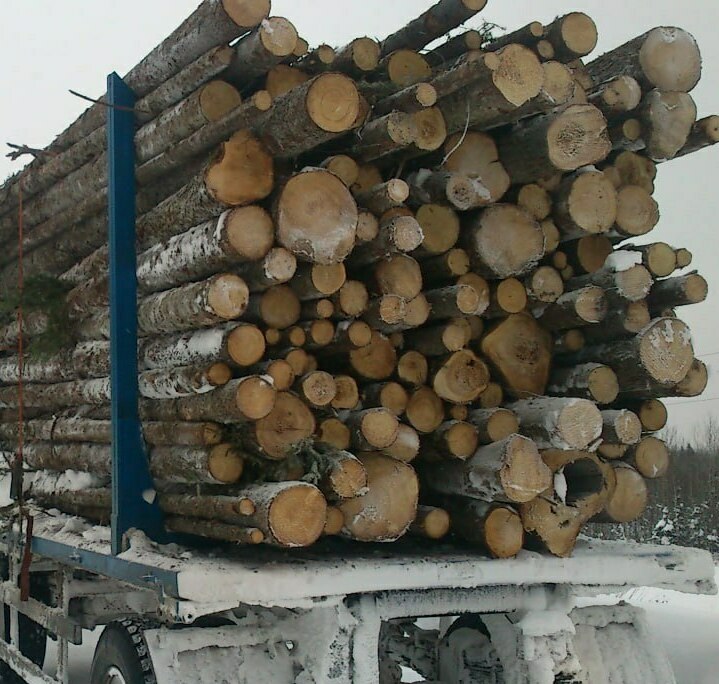 Водитель на вывозку древесины, кат.Е 